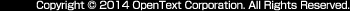 Copyright © OpenText Corporation. All Rights Reserved.